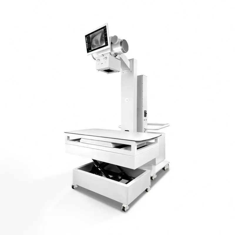 Clicnic Veterinary X Ray Machine High Quality Radiography Equipment with Digital Technology for Diagnosis Excellent Value