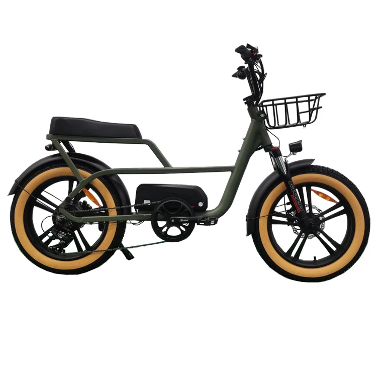 Joyebikes Fat Bike Bicycle Adults 20inch Off Road Ebike Fat Tyre Elektrische Fiets Fatbike 500w Electric Bike