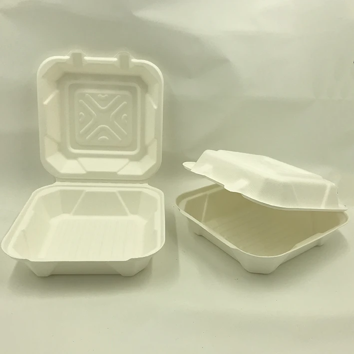 8' Disposable Takeaway Bagasse Compostable Tableware Food Packaging Sugarcane Biodegradable Clamshell Container