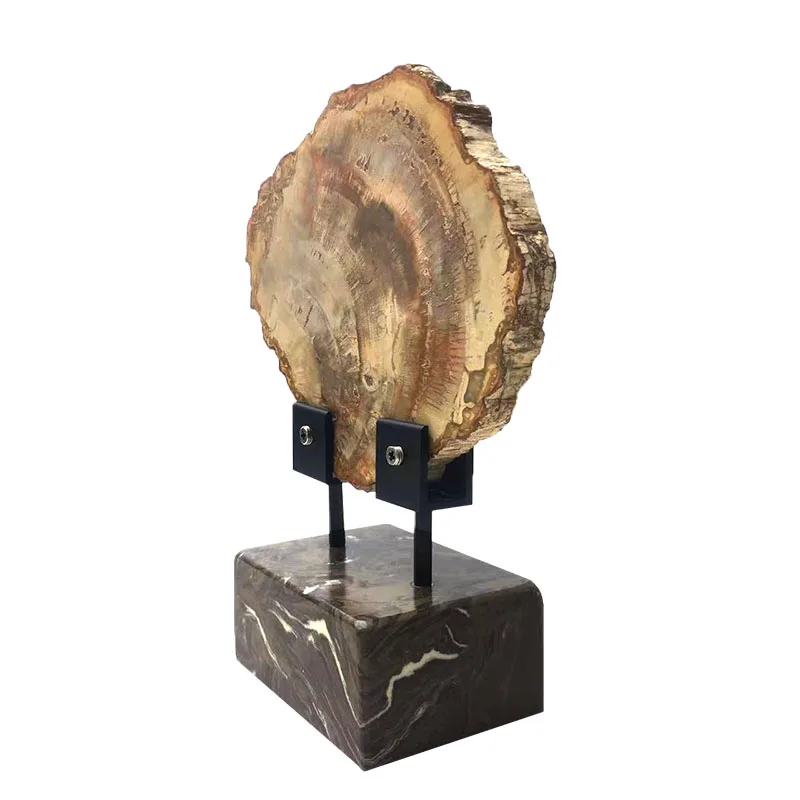 Wholesale natural polished wood fossil slab rough stone slice specimen ,petrified wood piece