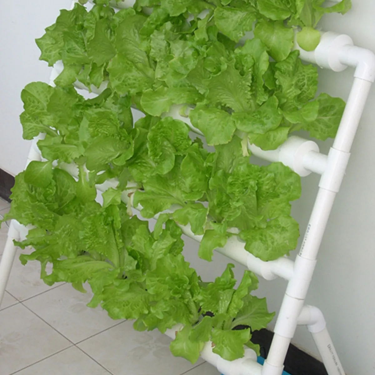 indoor mutifunction vertical growing kit hydroponic system