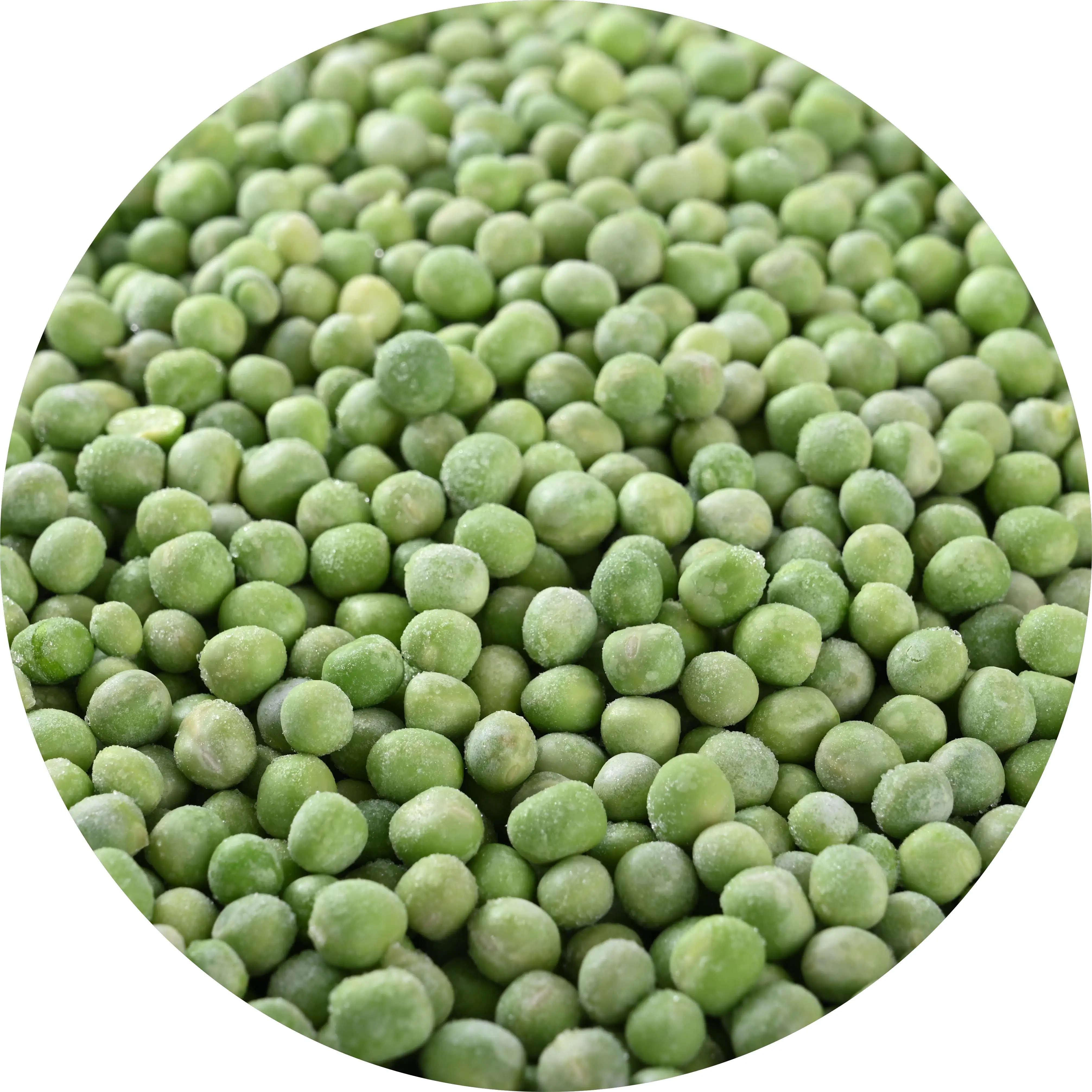 IQF factory direct sales  frozen green peas wholesale and export of frozen green peas