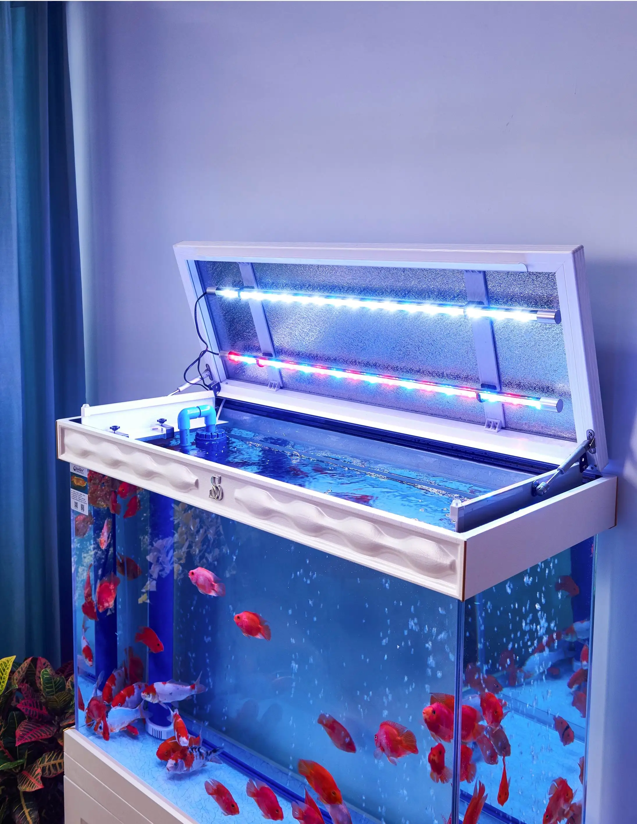 
European style white glass marine fish tank with bottom filter 