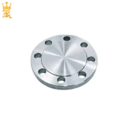 Diverse High-Density Blind Flange Models for Stainless Steel Pipe Fittings