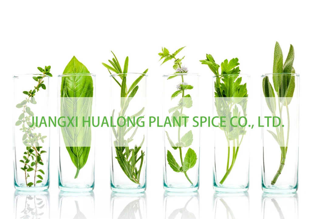 New highs 100% pure Cooling Agent Bulk