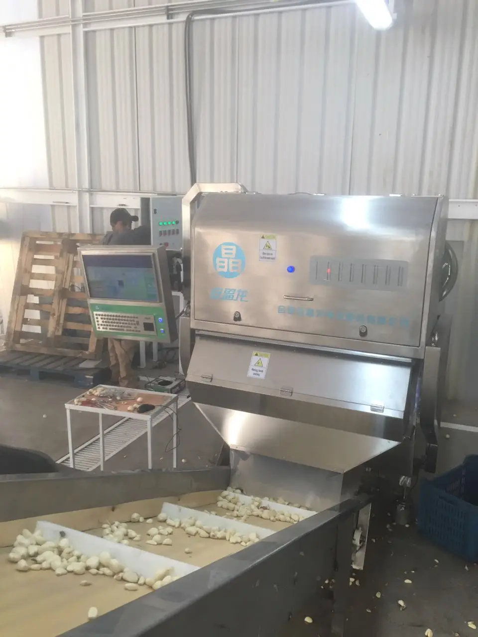 Peeled Garlic Color sorter Garlic Separator