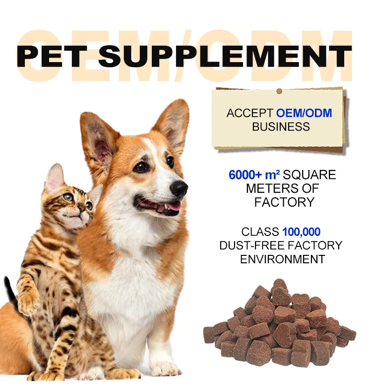 Cats Probiotic Supplement for Cat Digestive Support - Healthy Digestion - Cat Constipation and Diarrhea Relief - Immune Health