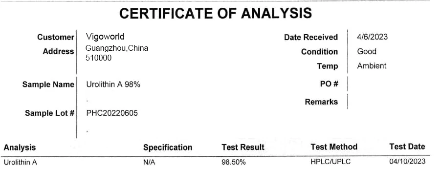 Urolithin A Vegan capsules Powerful Mitochondrial Supplements for NAD+ Boost Antioxidant Longevity Cell Repair Muscle Function