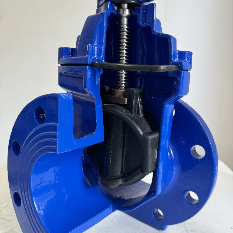 NRS DINF4 DIN3352 S14 standard DI body SS420 stem high quality stem cap wheel actuator soft seal gate valve