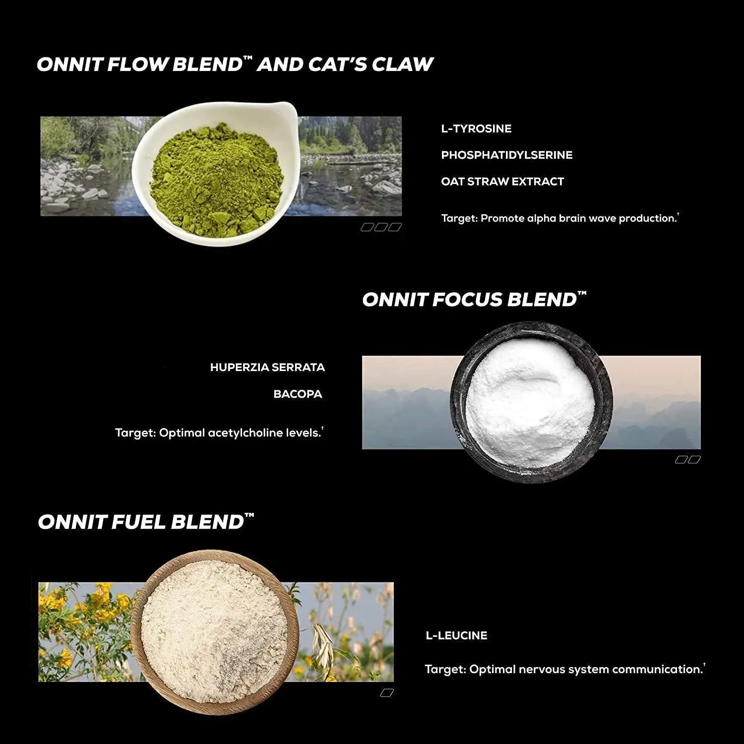 Brain Supplement Alpha GPC,Nootropic Capsules L Theanine & Bacopa Monnieri Focus Concentration Improve Memory Nootropics Brain