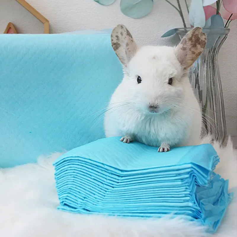 Modern 2024 Disposable Cotton Pet Diapers Novel Design OEM Printed Dog Diapers for Male Female Low Price Free Shipping