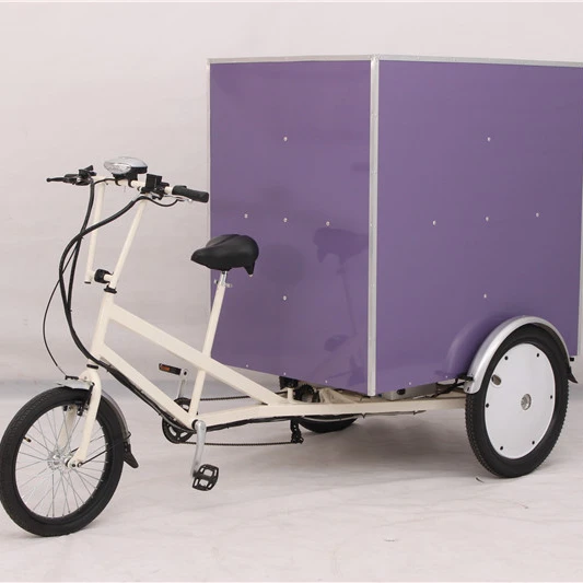 500W Pedal electric cargo tricycle high loading electric cargo trikes customized electric cargo tricycle manufacturer