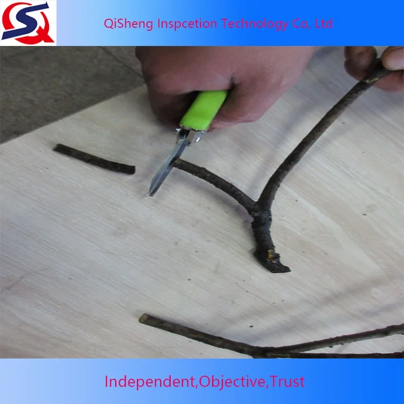 Garden Scissors Inspection Service Third Party Company In China Final Random Inspection Product Quality