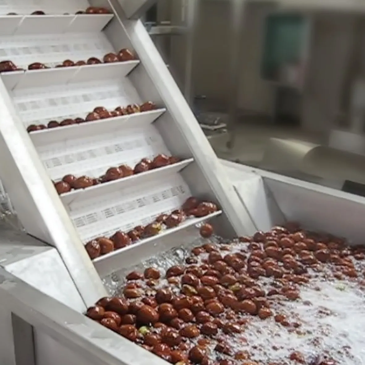 Stainless steel Dates Processing Machinery processing line