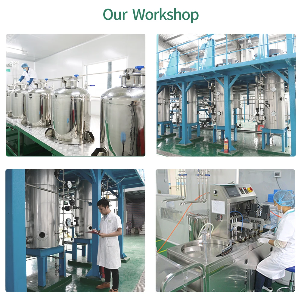 hot sale organic cold press camelia seed carrier oil for skin hair care