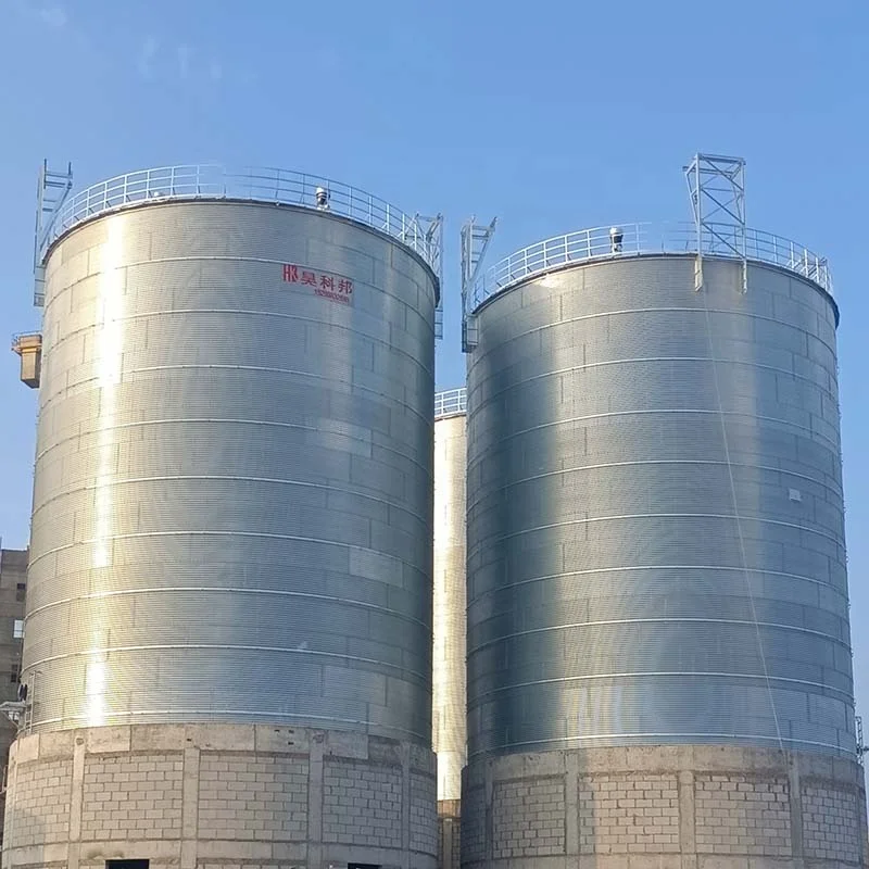 3000 Ton 5000 Tons Steel Silage Grain Storage Maize Silo for Sale