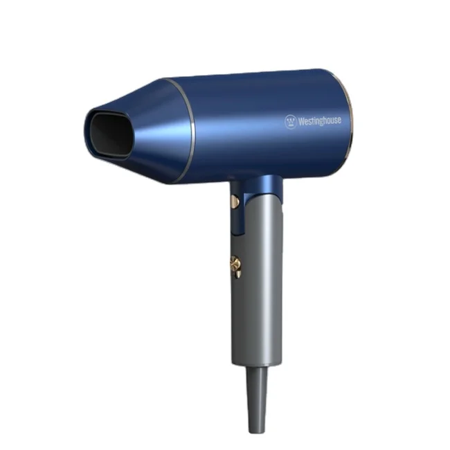 Hot Selling Salon Professional DC Motor Concentrator/Diffuser/Ionic and Induction Function Professional blow Hair dryer