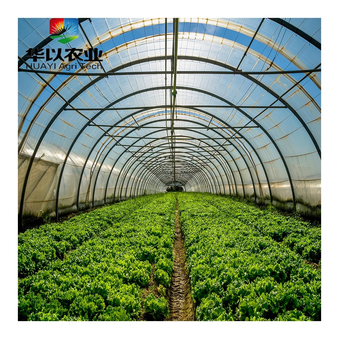 Cheap price agricultural uv plastic film single-span greenhouses
