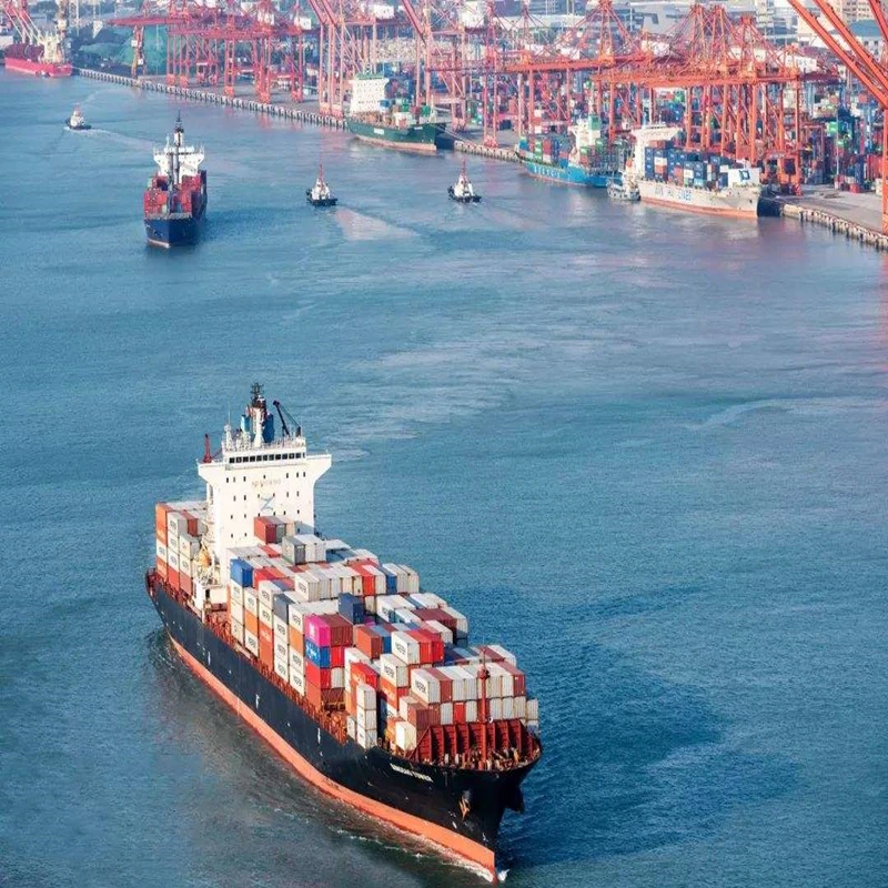 china to india ddp shipping india shipping agent india freight forwarder china to Vietnam