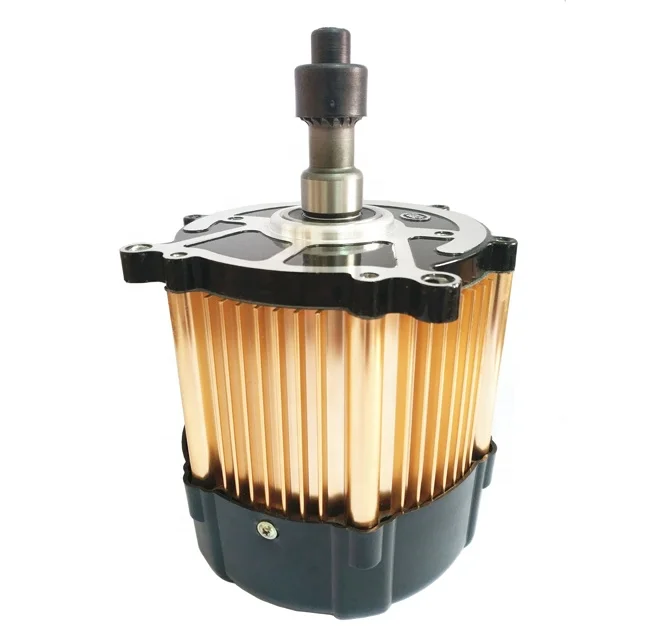 Brushless Dc Motor Sine Wave BLDC Motor 48V 1000W Motor For Amercia