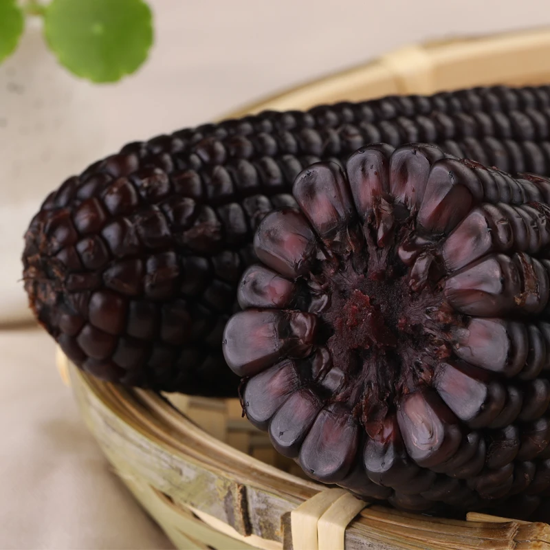 Non-GMO Fresh Waxy Corn Black Color