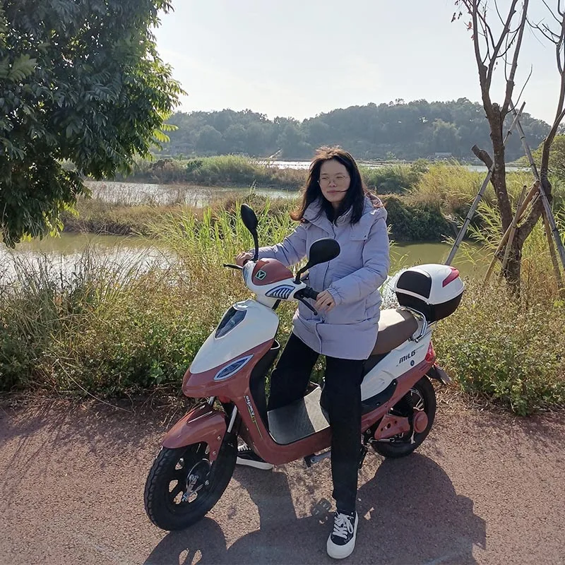 MiLG CE 500 Watt Electric Bike 12 AH Lead Acid Battery Bicycle Adult 48V 350