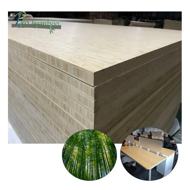 New arrival best quality plywood for fencing and laminated bamboo plywood panel for furniture