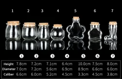 Clear Glass Bottle with Cork for Decoration