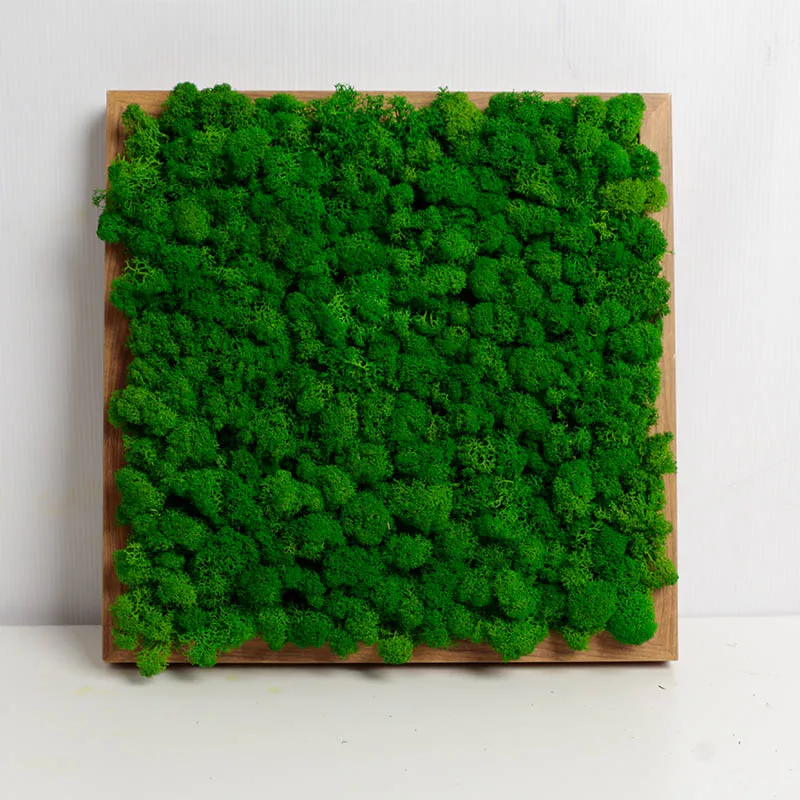 Wholesale Stabilize Reindeer Moss Wall Art Moss Panel Decorations Preserved Moss