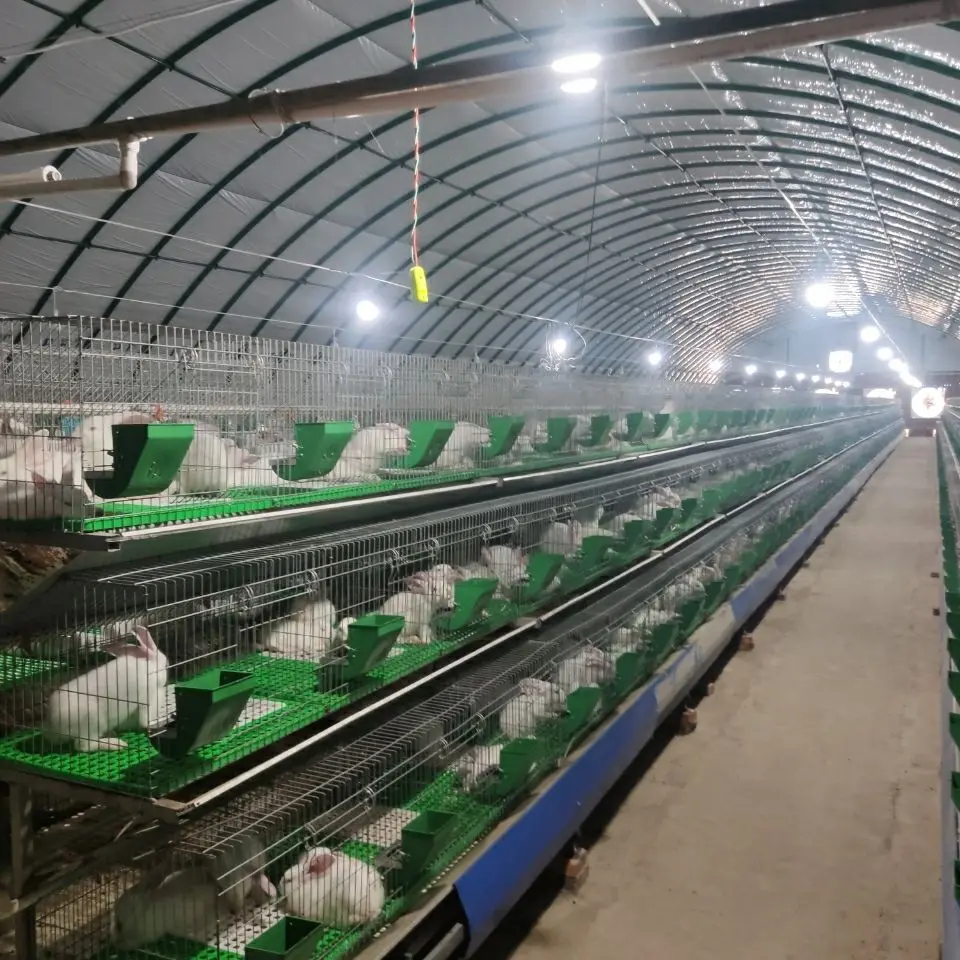 Mesh Wire Farming Rabbit Cage in Kenya Farm for Hot Sale