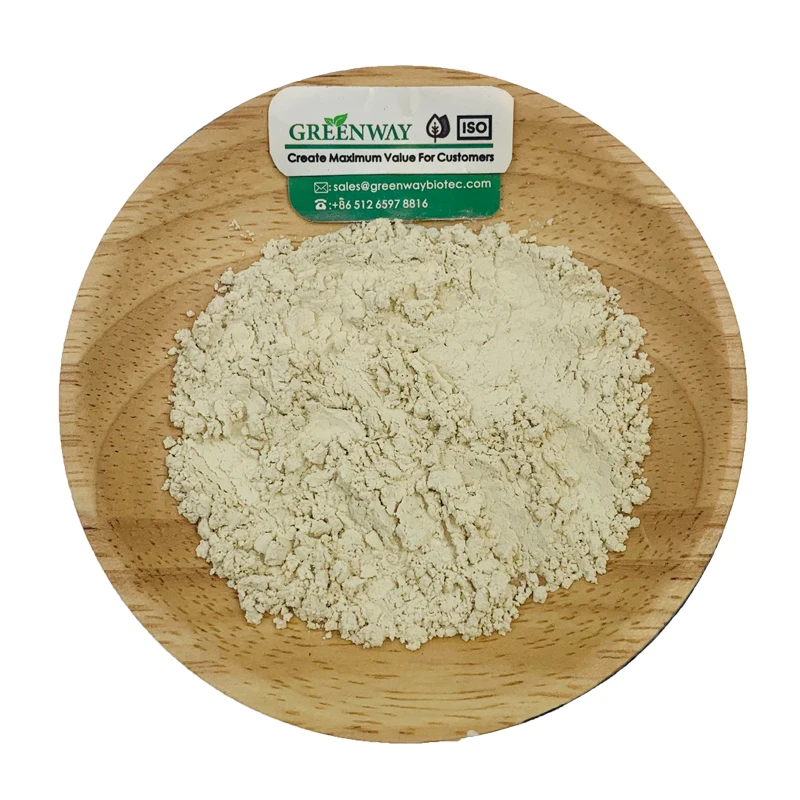 High Quality Hydrogenated Food Grade Soy Lecithin Powder