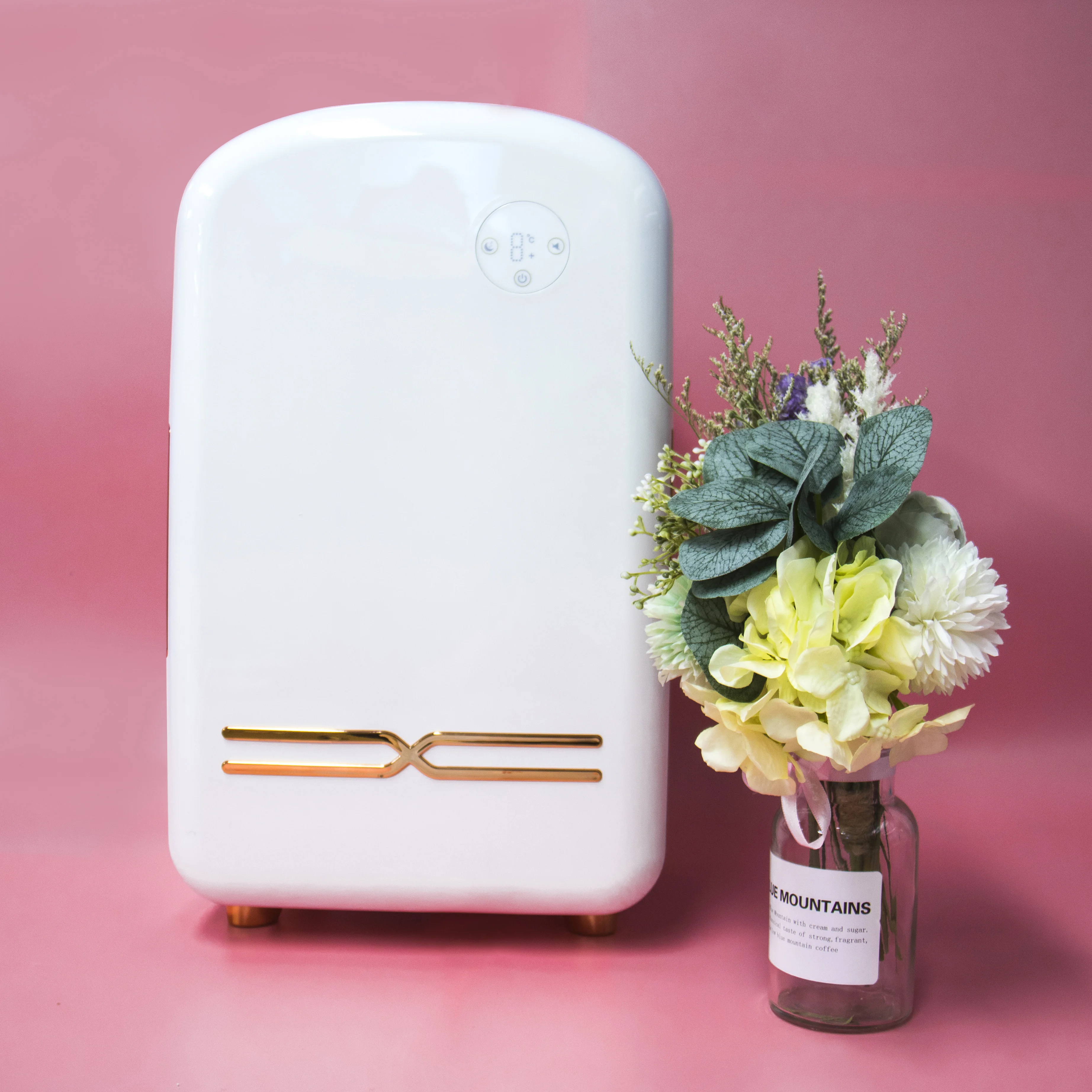 
Wholesale cheap 12L make up skin care mini fridge cosmetic small refrigerator 