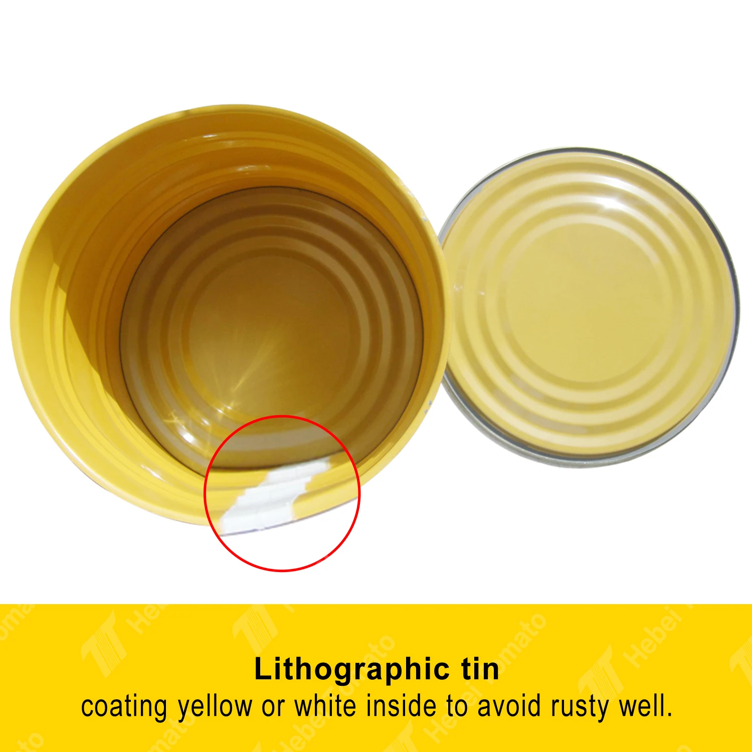 Factory Easy Open Tomato Paste in Drum Brix 36 38 28 30 Tin 2200g 400g 850g 3000g Ketchup Bag Sour Mason OEM Canned Tins