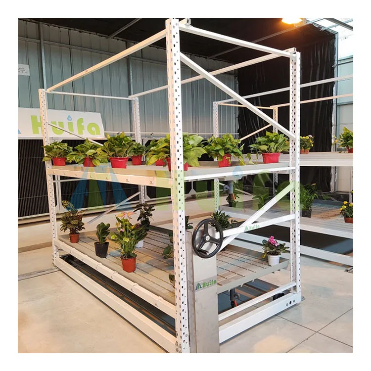 Hydroponic Flood Table For Tomato Multi Span Greenhouses Flood Tray