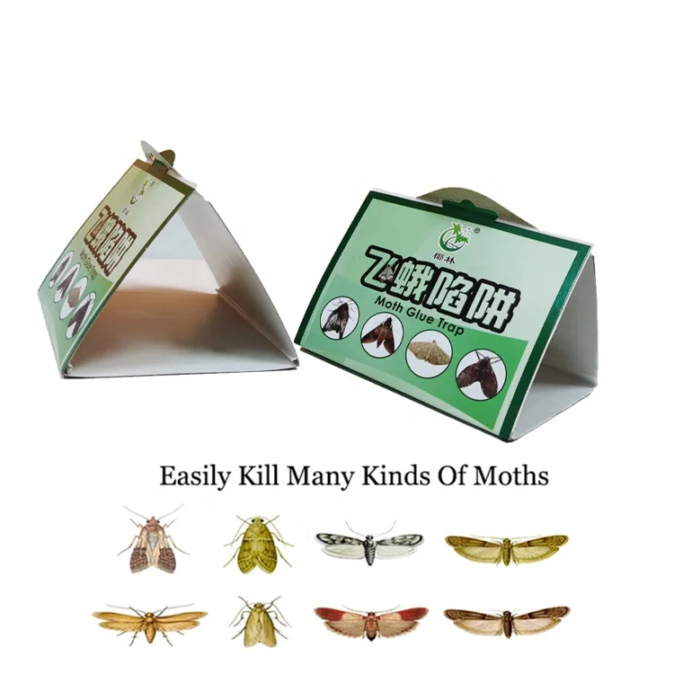 Clothes Moth Traps with Pheromone Attractant for Closet and Carpet