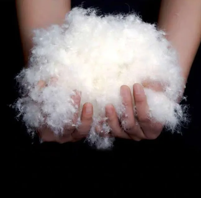 White Duck Down and White Goose Down 600/700/800/1000 Fill Power High Quality