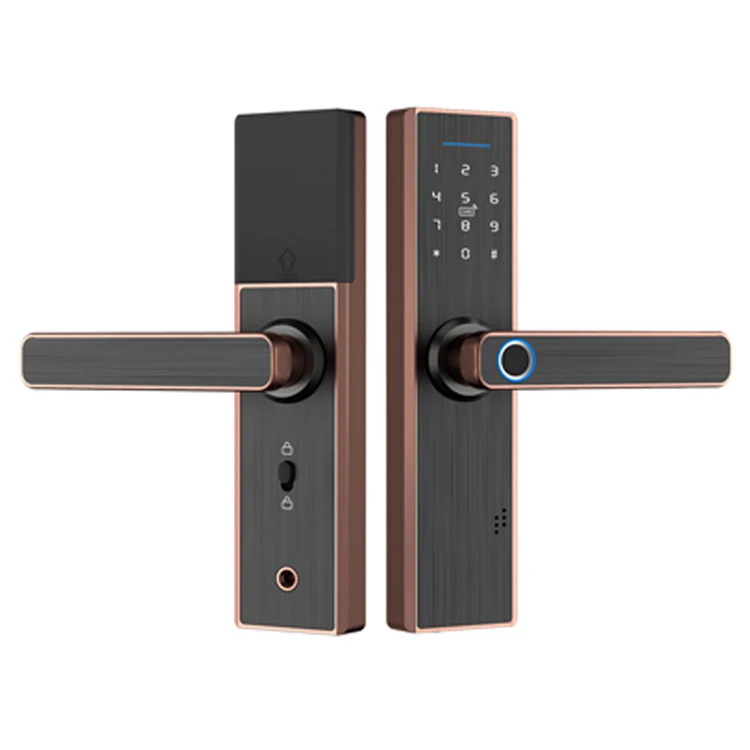 Smart life keyless front tuya rfid sliding steel gate door lock access control