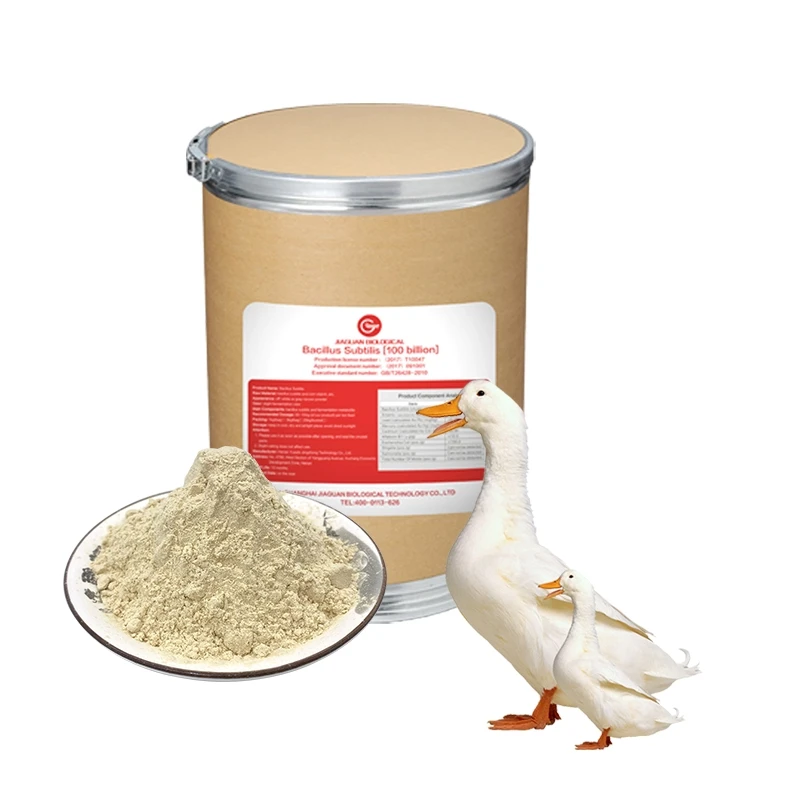 Largest Factory Of Bacillus Subtilis Fermentation And Probiotic Bacteria Bacillus Subtilis For Feed Additives For Duck
