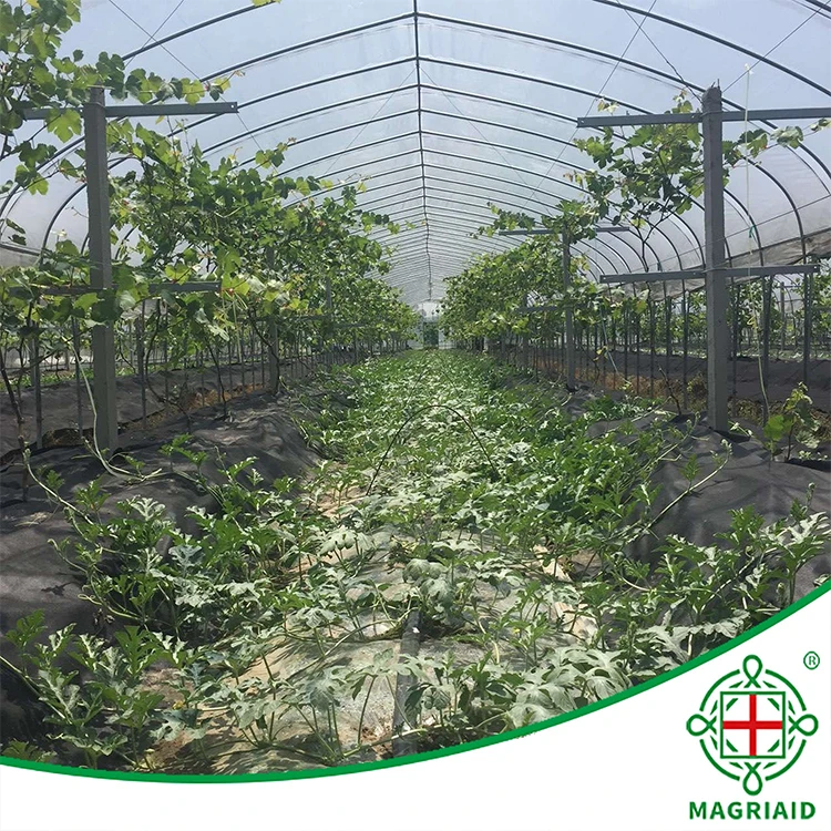 agriculture  pp spun bond fabric spun lace fabric non woven fabric for green house and  straw berry protective bag