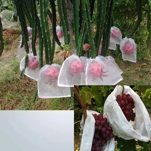 Breathable Anti UV high quality nonwoven plant protect bag cover garden fabric made PP agricultural non woven fabric rolls