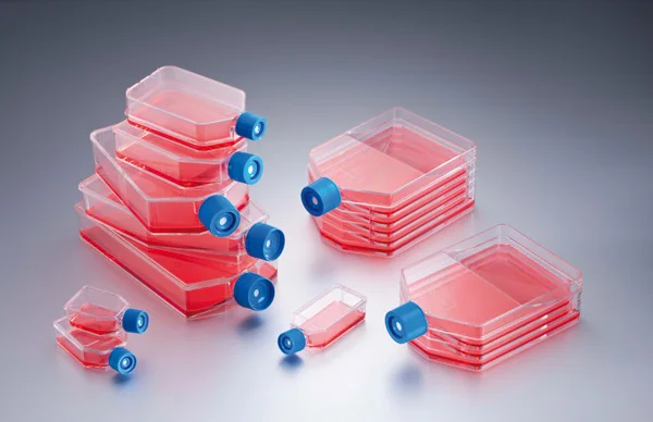 MDHC Free Samples Sterilized Cell Culture Flasks with Vent Cap