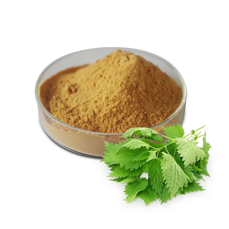 High Quality Nettle Extract Beta-sitosterol Best Price Stinging Nettle Root Extract Powder Nettle Root Extract
