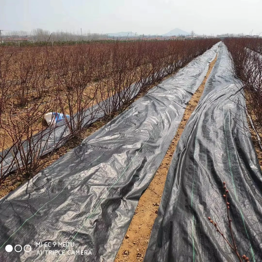 PP weed stop cloth weed control ground cover barrier fabric matting hdpe mats pp landscape fabric greenhouse grape weed control