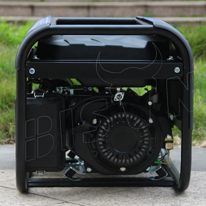 Bison ( China ) 2.5Kw Generator Auto Start Gas Generators Price 2.8Kw 170F Gasoline Generator