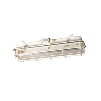 JCY43-2EF IP56 791877 791867 Marine Pendant Fluorescent Light With Emergency And Guard