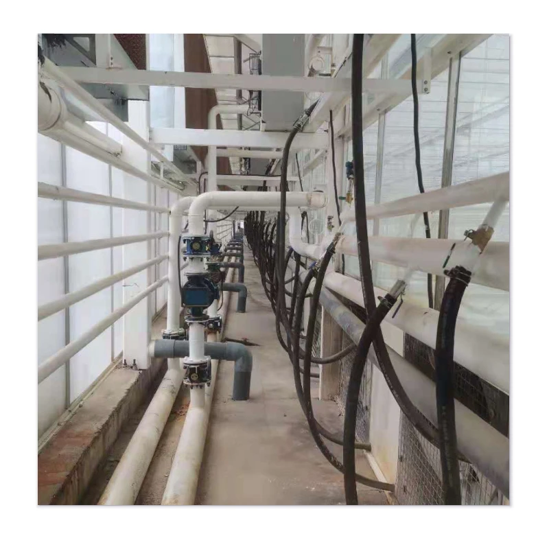 Guaranteed Durability & Wind Resistance at Affordable Prices - Greenhouses
