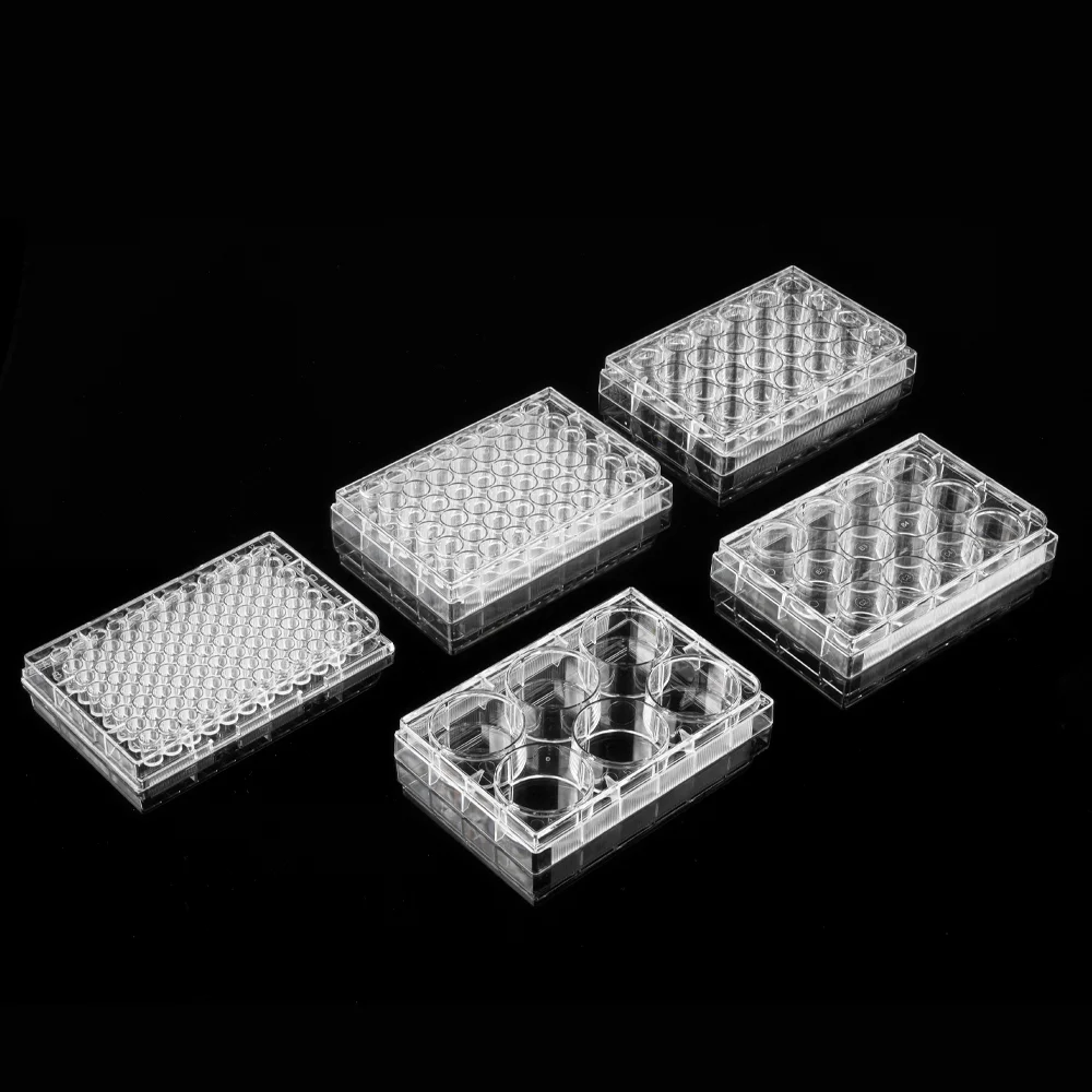 BBSP Cytology consumable High transparency 100% PP cell culture plate other lab supplies for Cytology laboratory