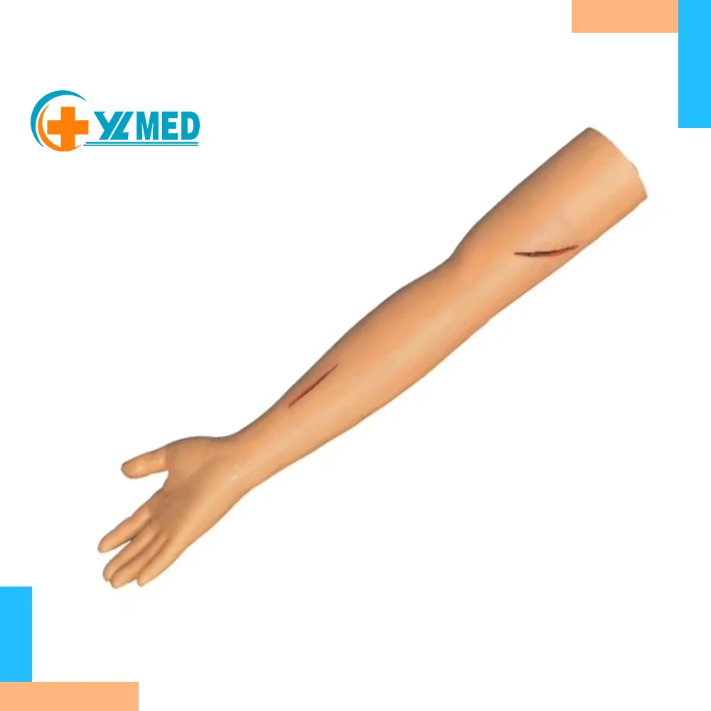 Современные модели медицинских обучающих моделей для тренировки швов в натуральную величину