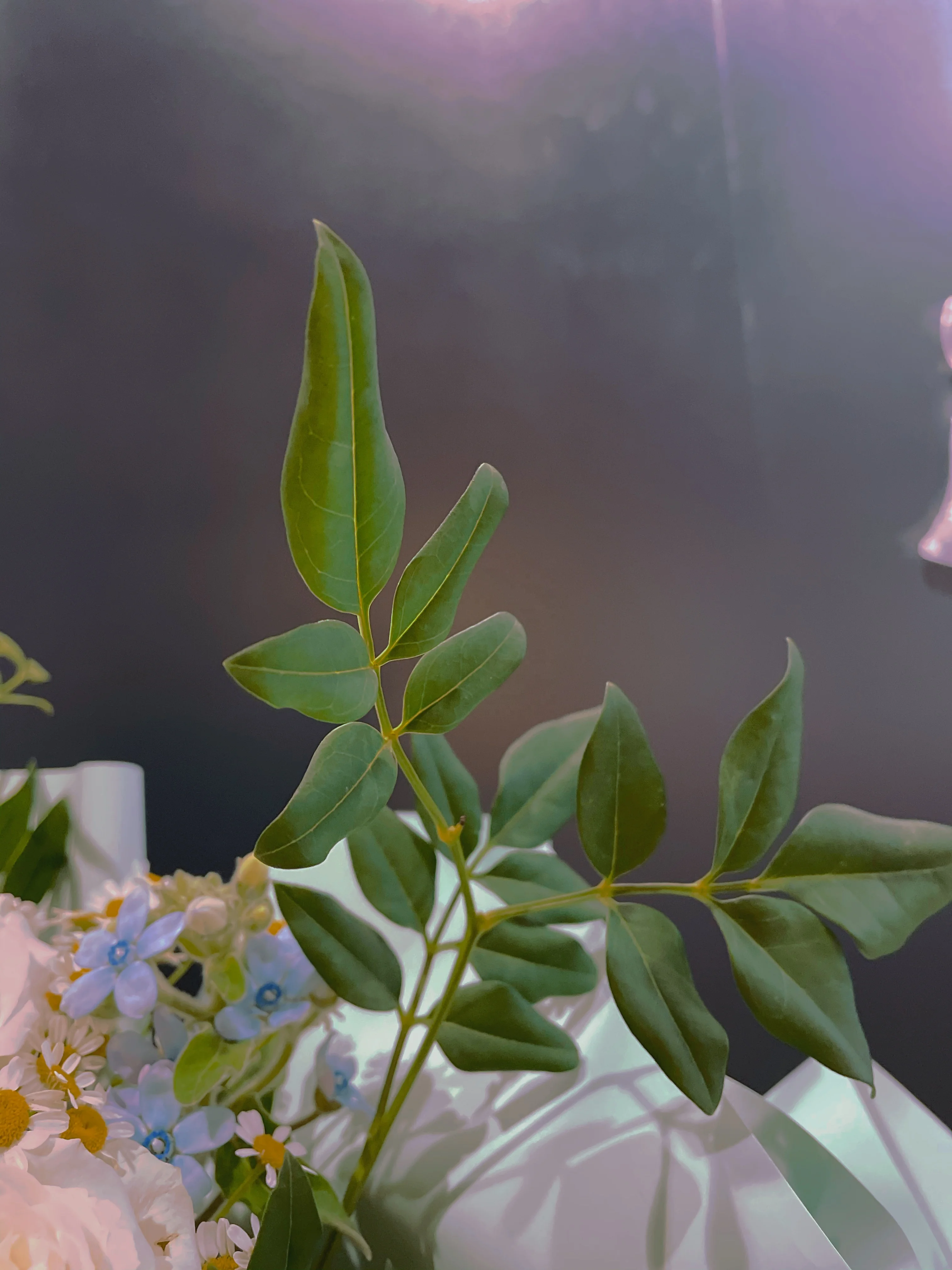 Yuhuiting Flower Matcha Green Flowers Bouquet