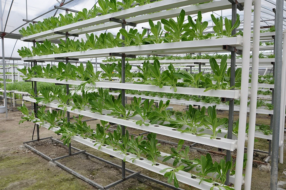 Гидропонная система выращивания каналов NFT гидропонных желобов ареопонных растений тепличные столы для